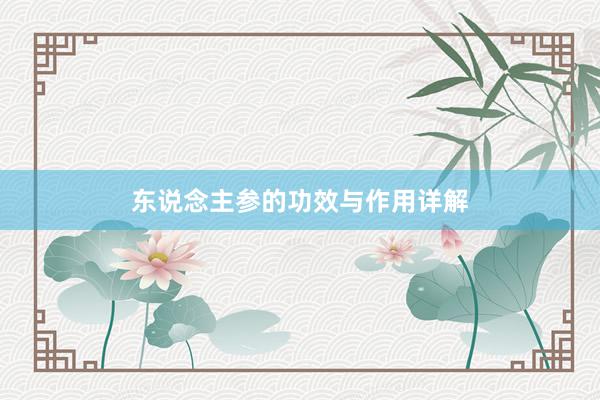 东说念主参的功效与作用详解