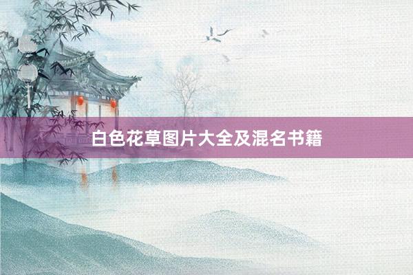 白色花草图片大全及混名书籍